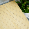 Perforated Acoustic Panel