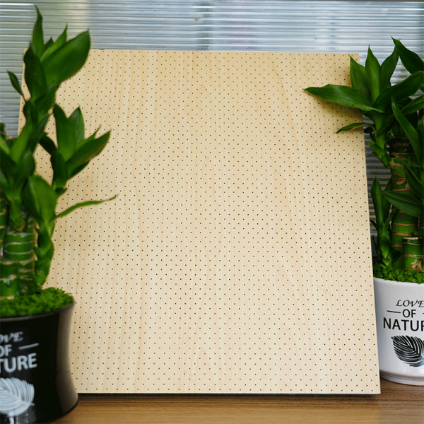 Perforated Acoustic Panel